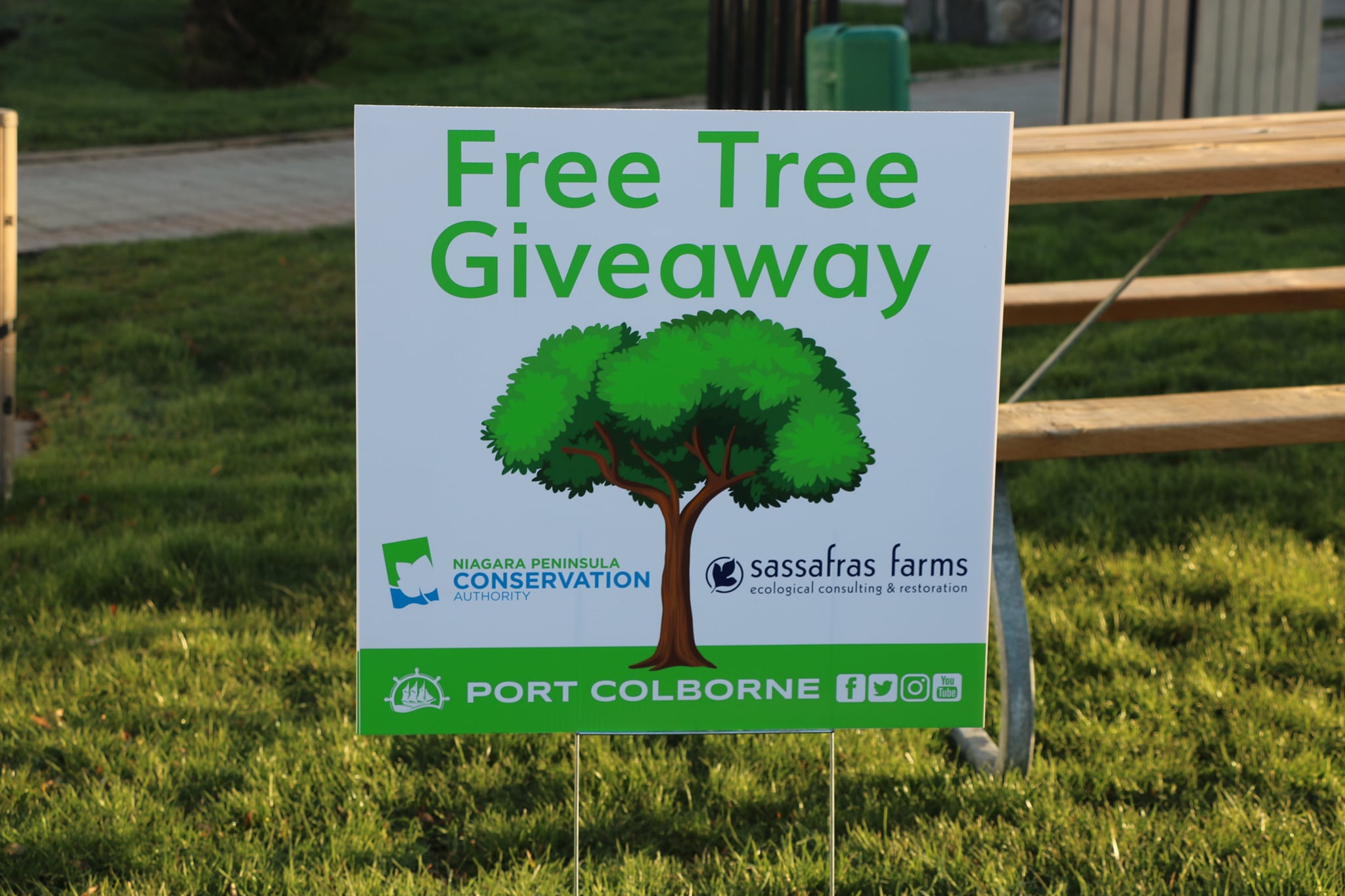 Tree Giveaway